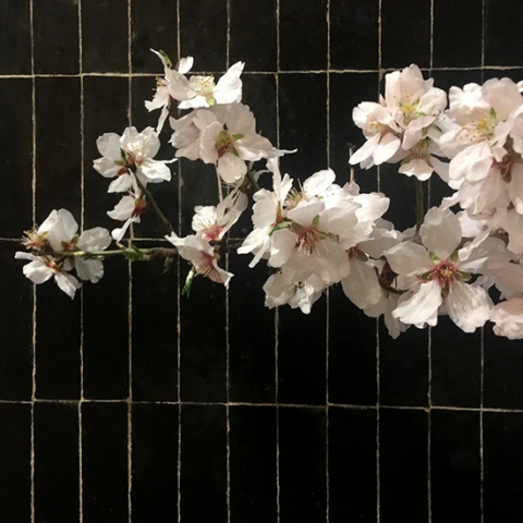 Carrelage zellige noir pour salle de bain